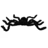 Black Spooky Furry Spider With Bright Eerie Light
