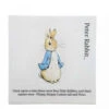 Beatrix Potter Peter Rabbit Plaque - 15.5cm
